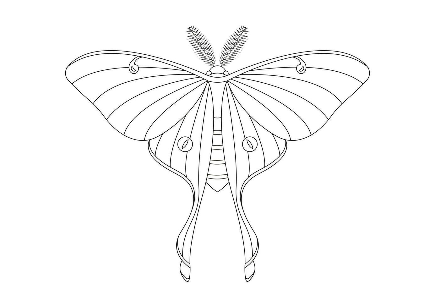Black and White Butterfly Luna Moth Clipart Vector isolated on White Background. Coloring Page of a Butterfly Luna Moth