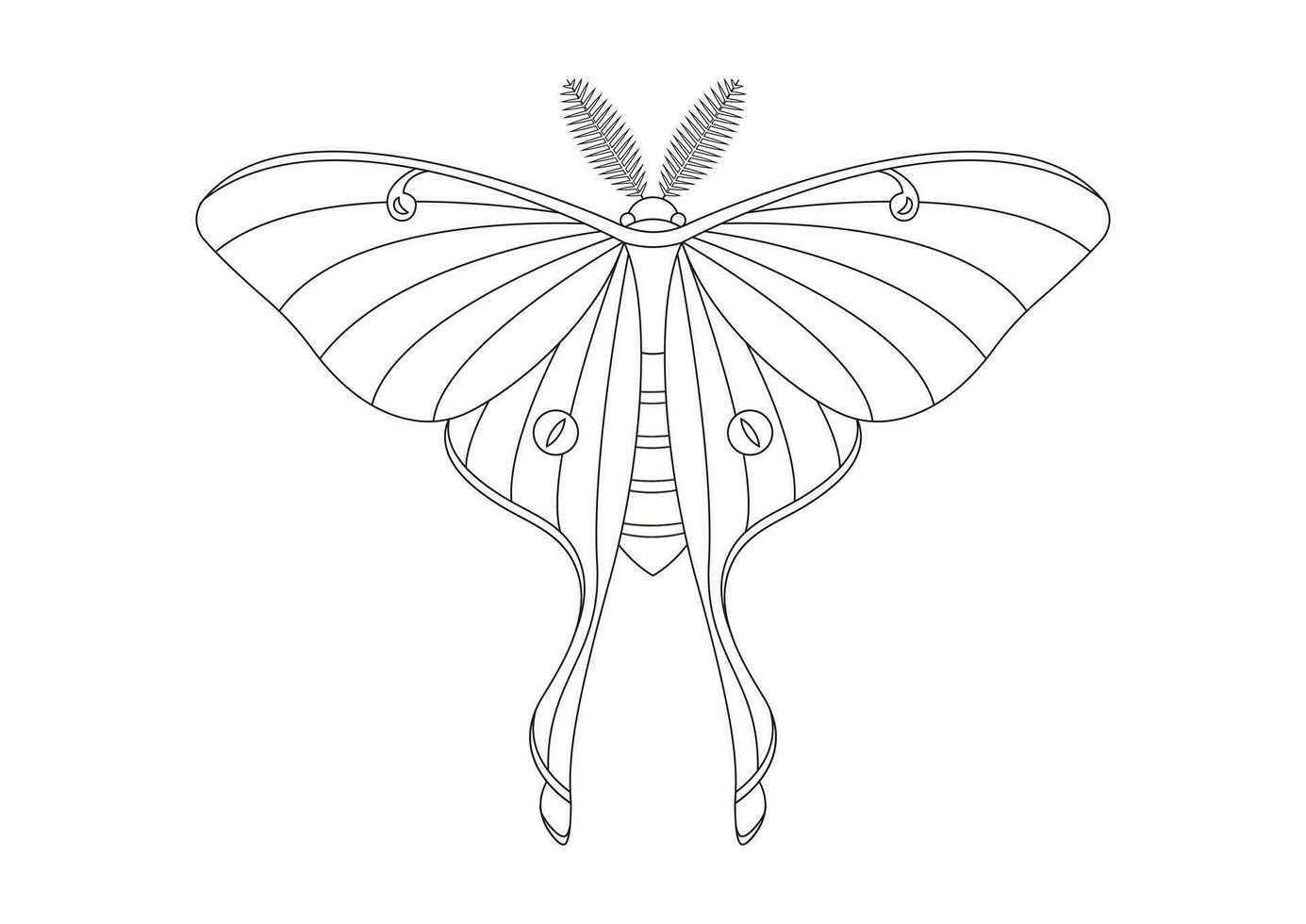 negro y blanco mariposa luna polilla clipart vector aislado en blanco antecedentes. colorante página de un mariposa luna polilla