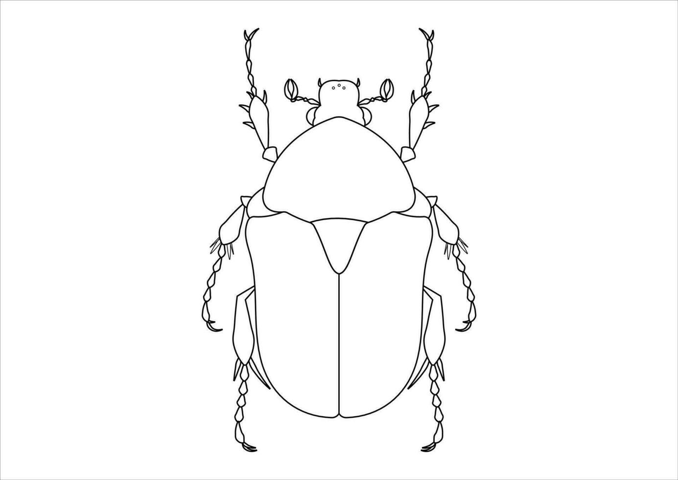 Black and White Protaetia Beetle Clipart. Coloring Page of a Protaetia Beetle vector