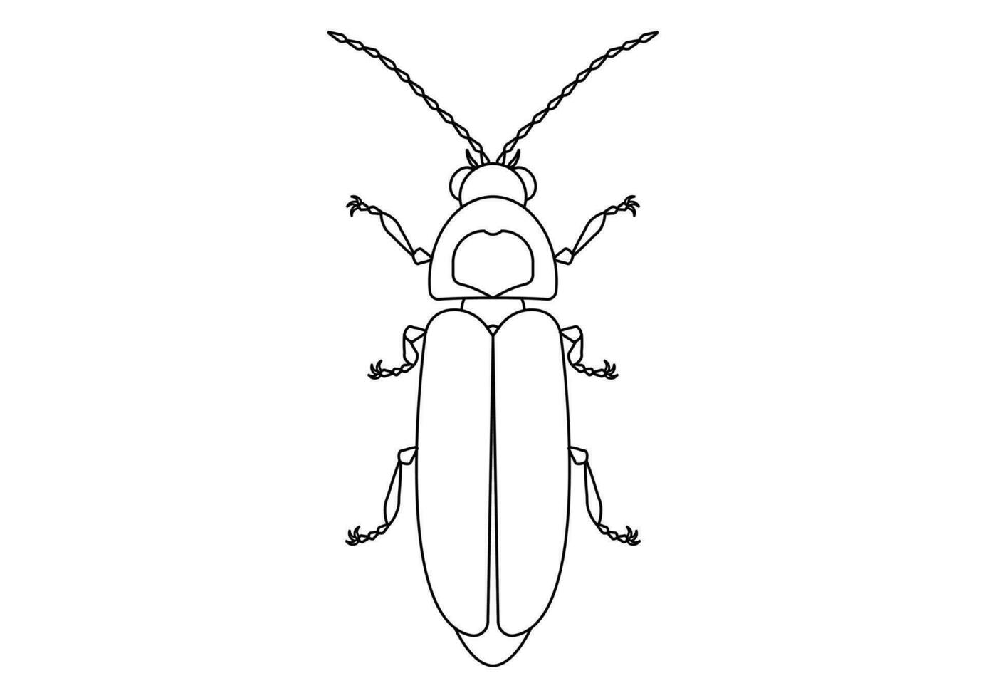 Black and White Firefly Clipart. Coloring Page of a Firefly vector