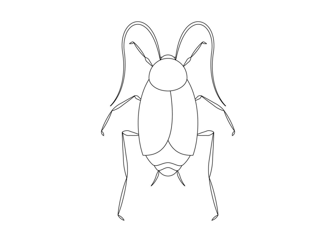 Black and White Oriental Cockroach Clipart Vector isolated on White Background. Coloring Page of a Oriental Cockroach