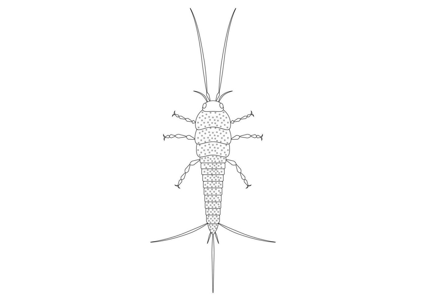 negro y blanco tisanura insecto vector clipart. colorante página de un tisanura