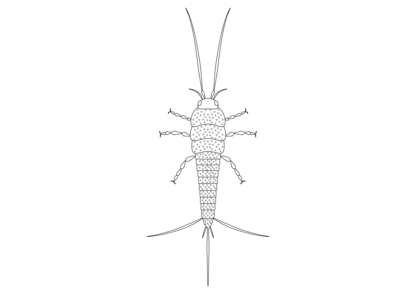 Black and White Thysanura Insect Vector Clipart. Coloring Page of a Thysanura
