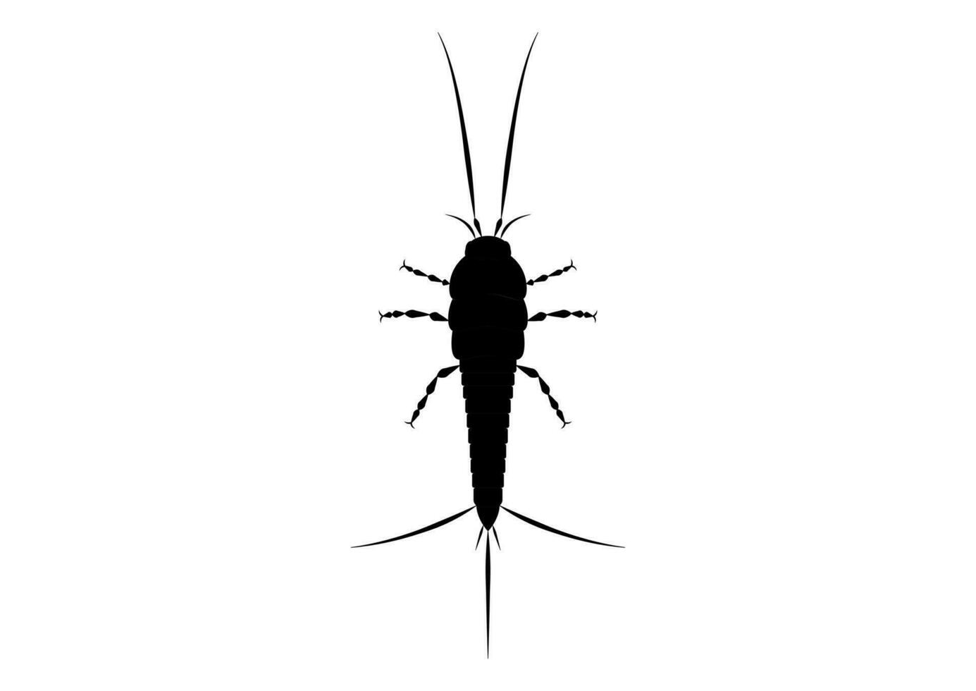Black and White Thysanura Insect Vector Clipart