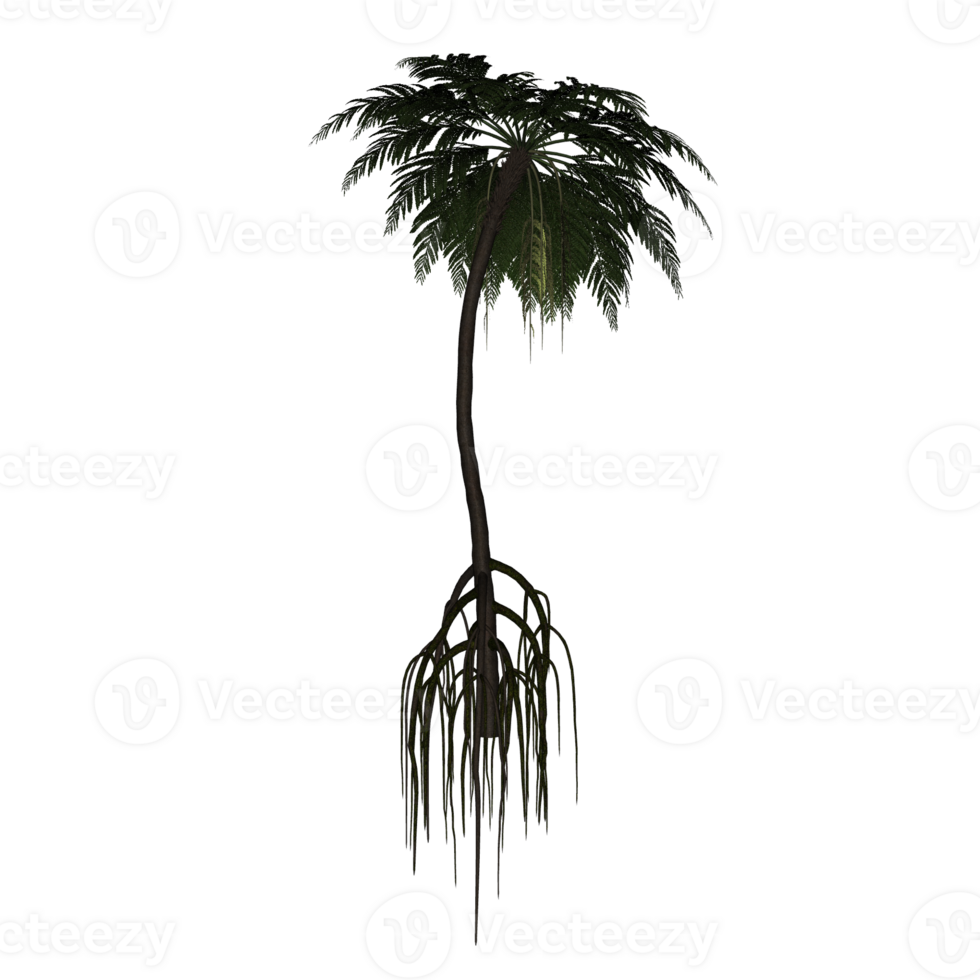 tree isolated 3d png