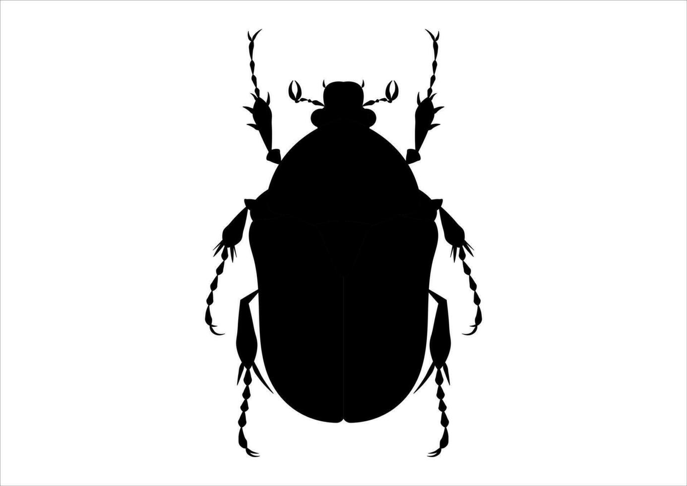 Black and White Protaetia Beetle Clipart vector