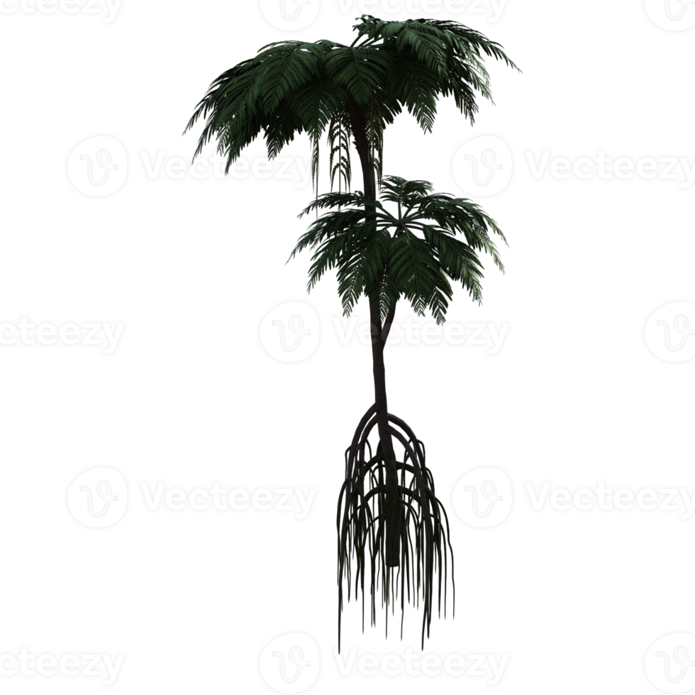 palm tree on transparent background png