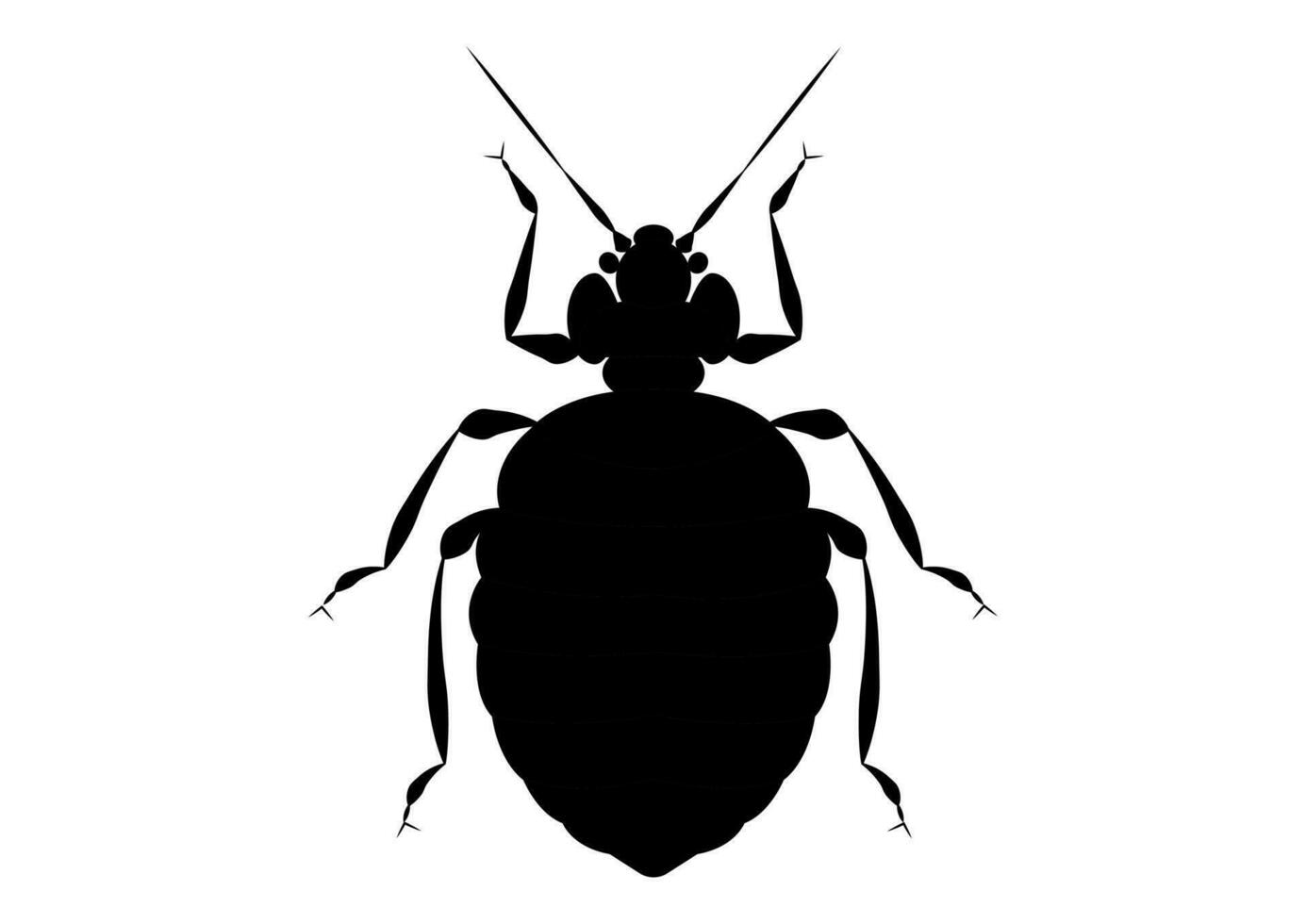 Black and White Bed Bug Clipart vector