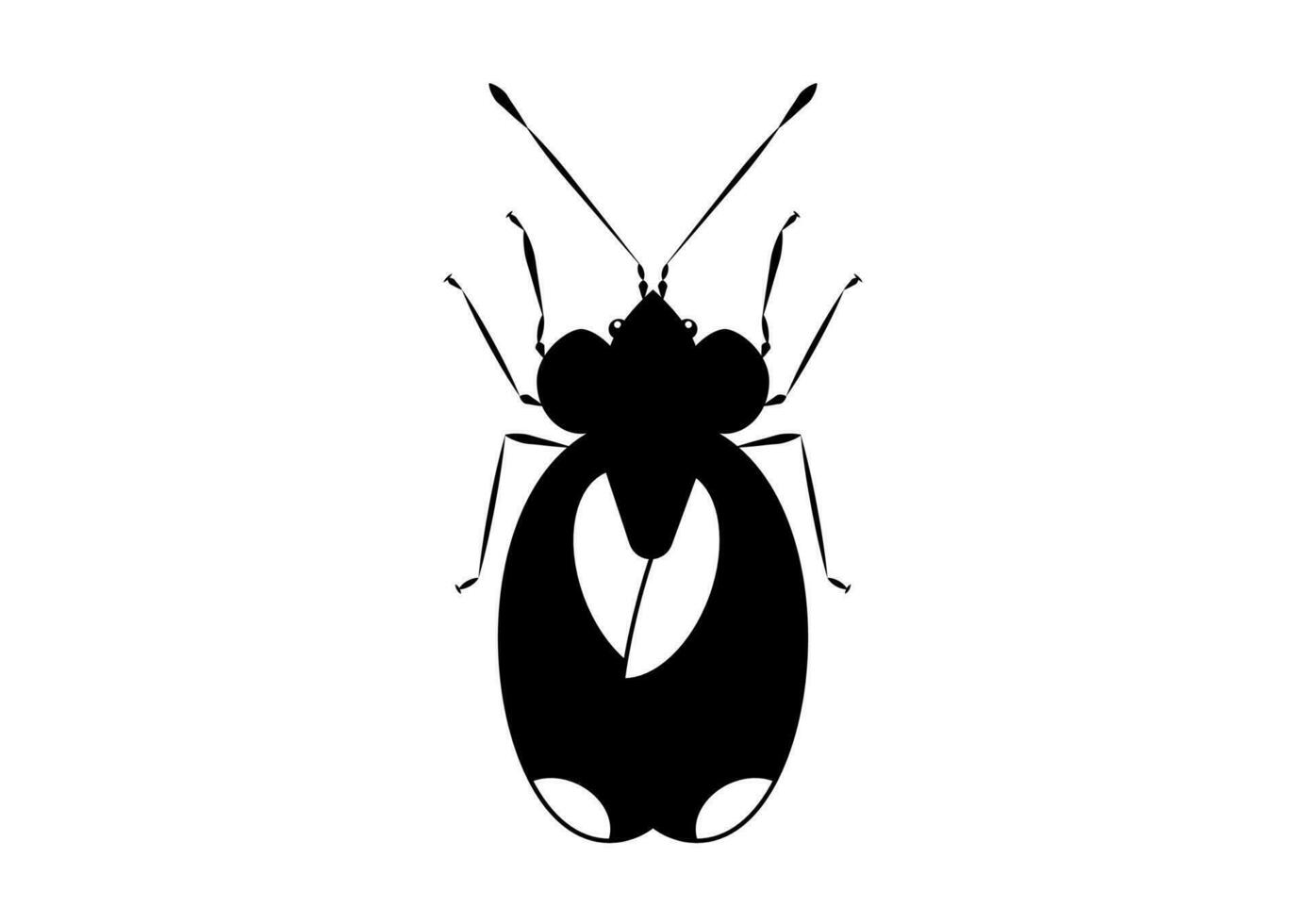 Black and White Bug Stephanitis Pyri isolated on White Background vector