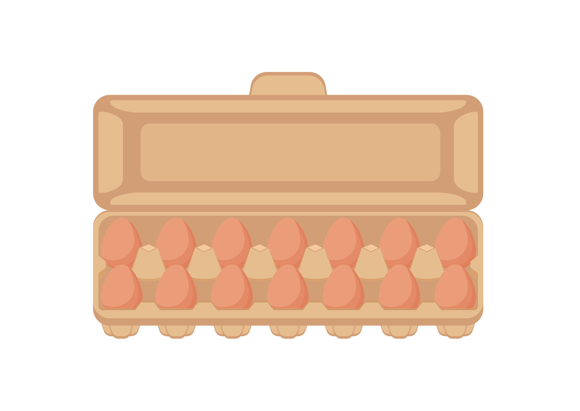 Raw Egg Carton Vector Illustration Isolated on White Background