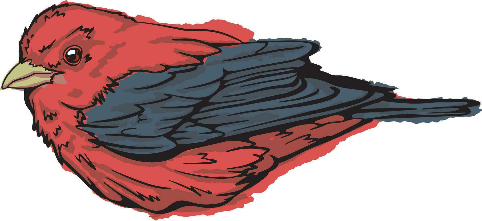Hand Drawn Tanager vector