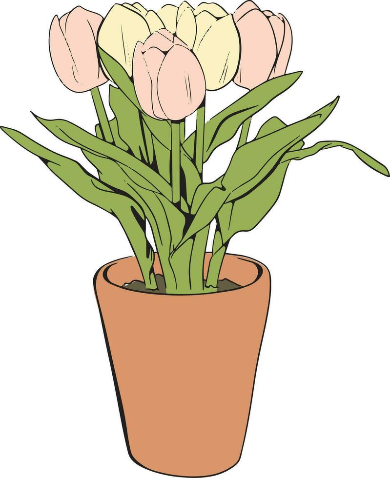 Hand Drawn Tulip vector