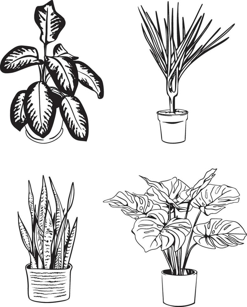 Outline of House Plants vector