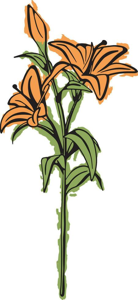 Hand Drawn Yellow Lily vector