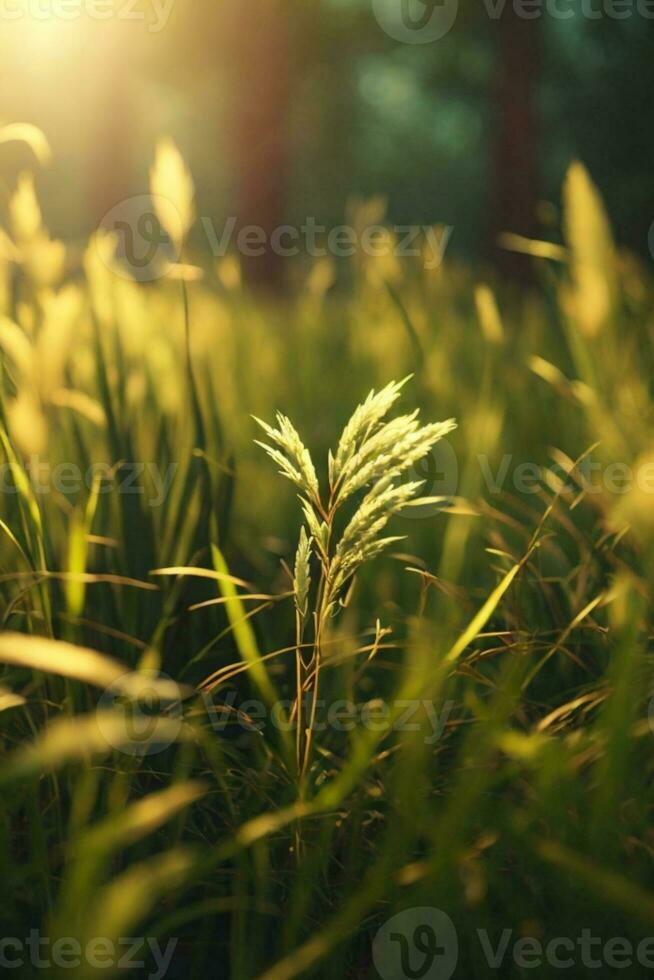 Wild grass in the forest at sunset. Macro image, shallow depth of field. Abstract summer nature background. Vintage filter. AI generated photo