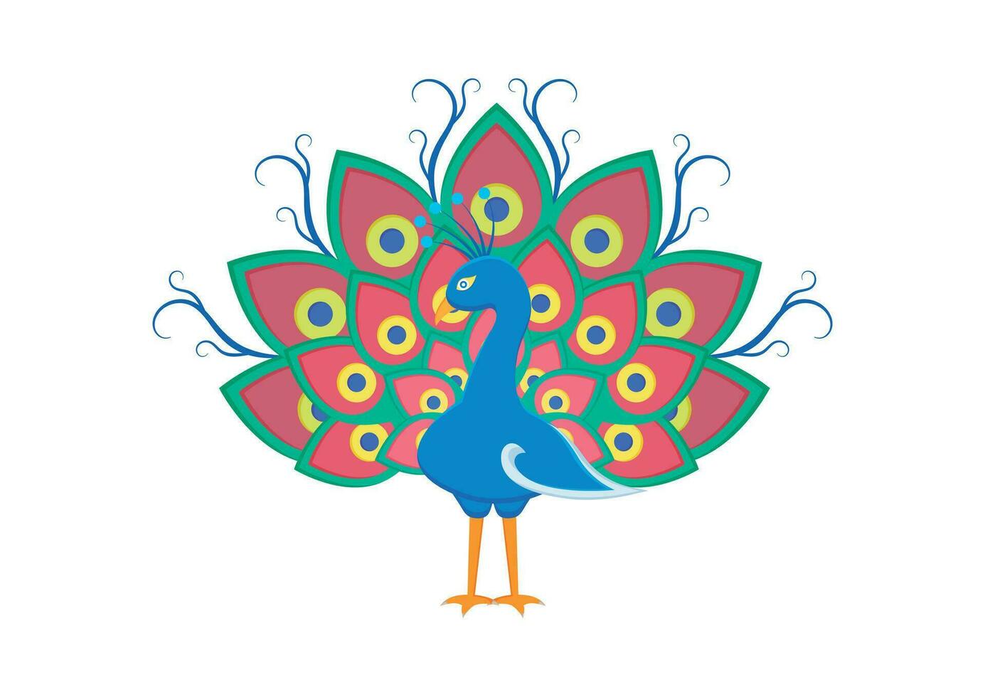 Colorful Peacock Vector Art Design Isolated on white Background