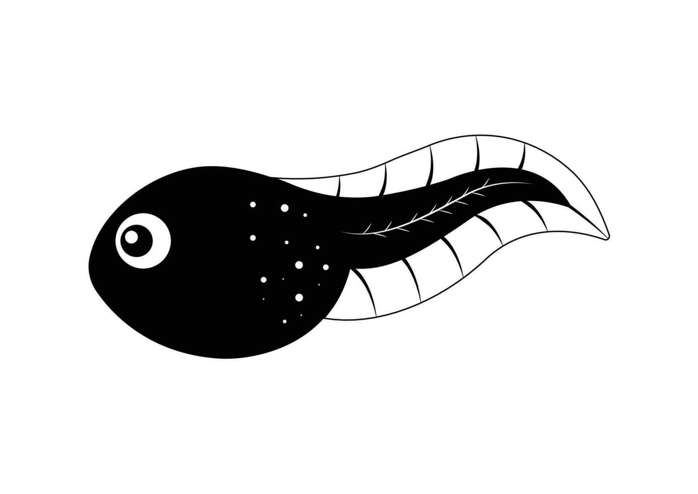 Black and White Tadpole Cartoon Character Vector Illustration. Tadpole Silhouette Flat Design