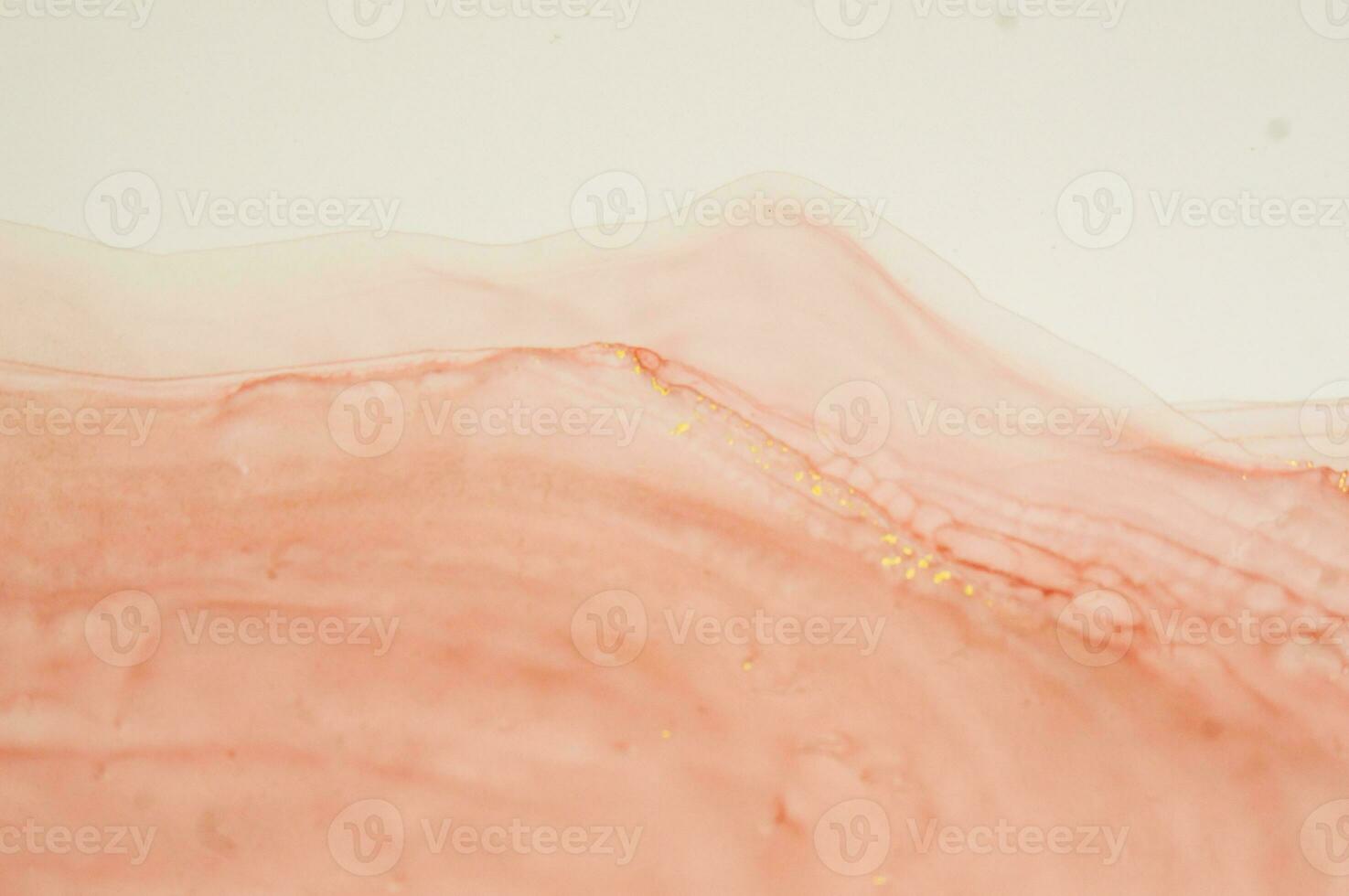 Alcohol ink. Style incorporates the swirls of marble or the ripples of agate. Abstract painting, can be used as a trendy background for wallpapers, posters, cards, invitations, websites. photo