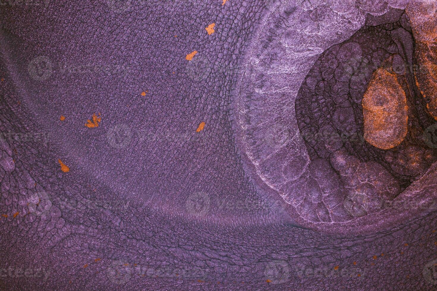 Alcohol ink on the black background. Alcohol ink colors translucent. Design wrapping paper, wallpaper. Modern fluid art. Multicolored marble texture background. Colorful luxury texture. photo