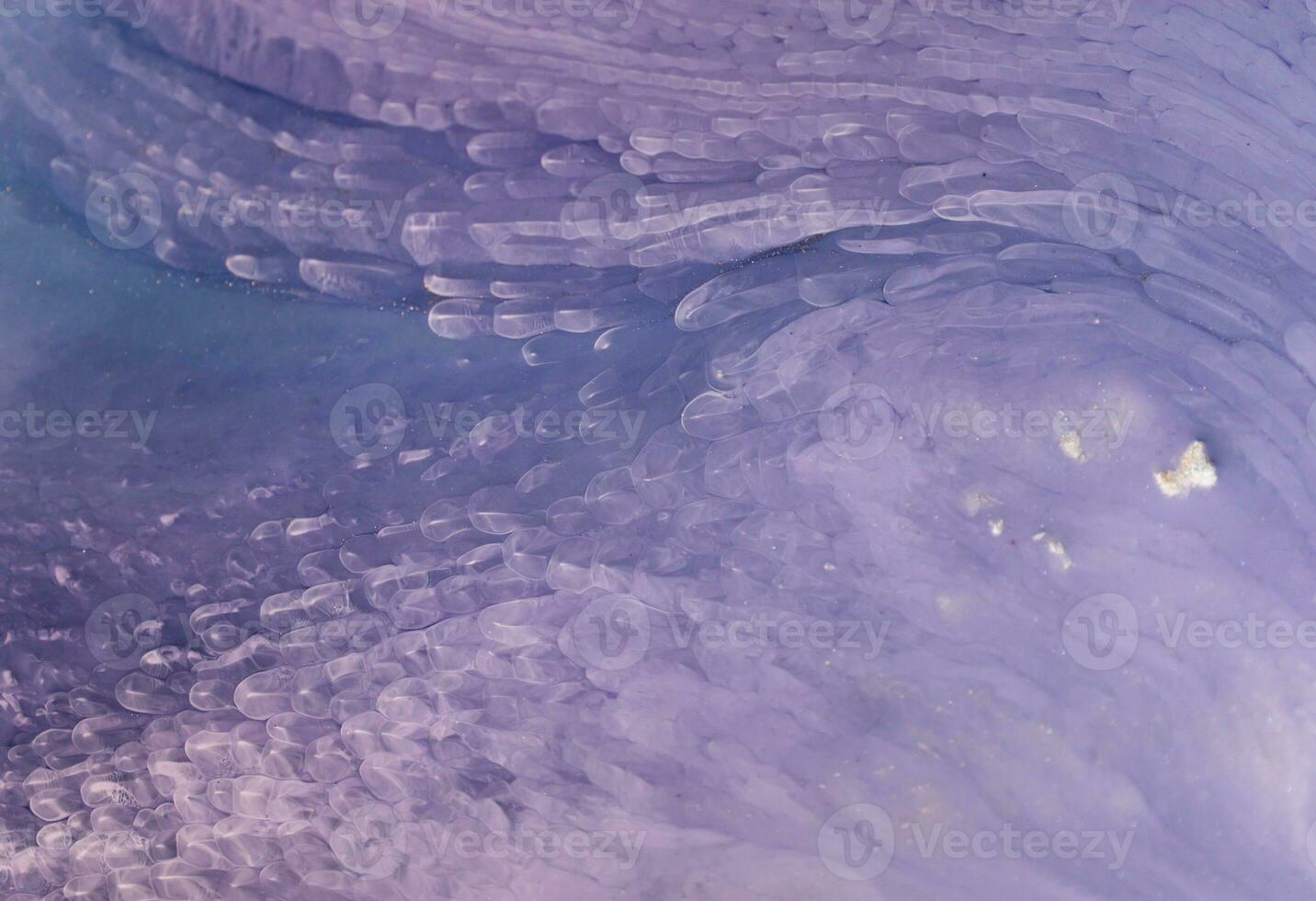 The picture is painted in alcohol ink. Creative abstract artwork made with translucent ink colors. Trendy wallpaper. Abstract painting, can be used as a background for wallpapers, posters, websites. photo
