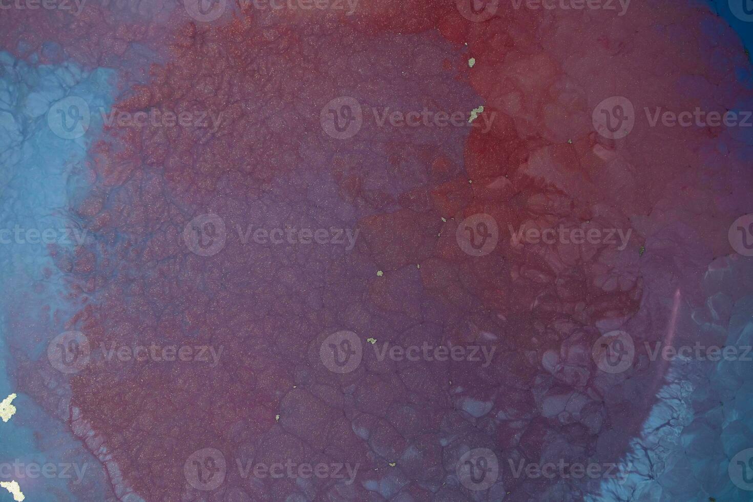 haze on a black background. Part of original alcohol ink painting. Modern art. Abstract colorful background, wallpaper. Marble texture. Fluid Art. photo
