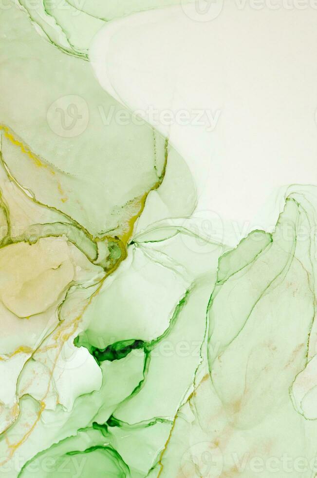 Abstract created using the technique of Alcohol ink. Macro photography of the smallest details of a panting. The panting shows how overflows of shades and colors of paint resemble space motifs. photo