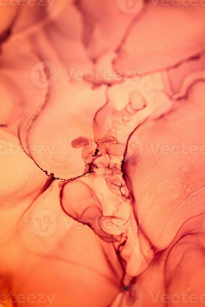 The picture is painted in alcohol ink. Creative abstract artwork made with translucent ink colors. Trendy wallpaper. Abstract painting, can be used as a background for wallpapers, posters, websites. photo
