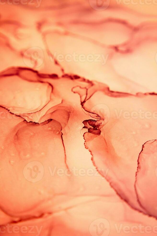 The picture is painted in alcohol ink. Creative abstract artwork made with translucent ink colors. Trendy wallpaper. Abstract painting, can be used as a background for wallpapers, posters, websites. photo