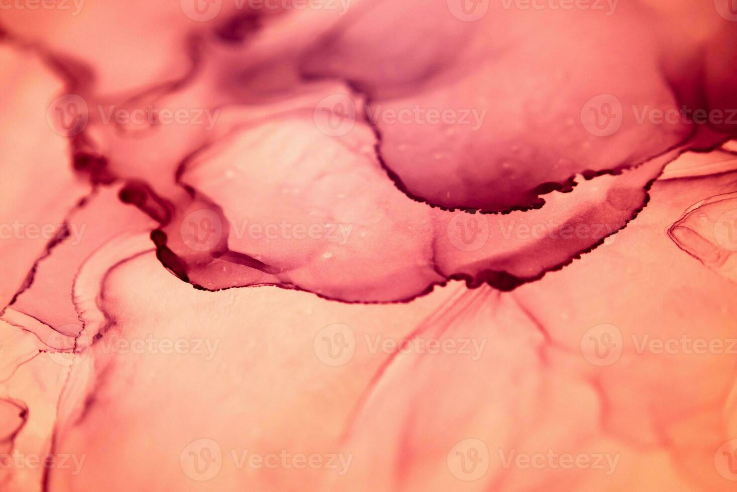 The picture is painted in alcohol ink. Creative abstract artwork made with translucent ink colors. Trendy wallpaper. Abstract painting, can be used as a background for wallpapers, posters, websites. photo