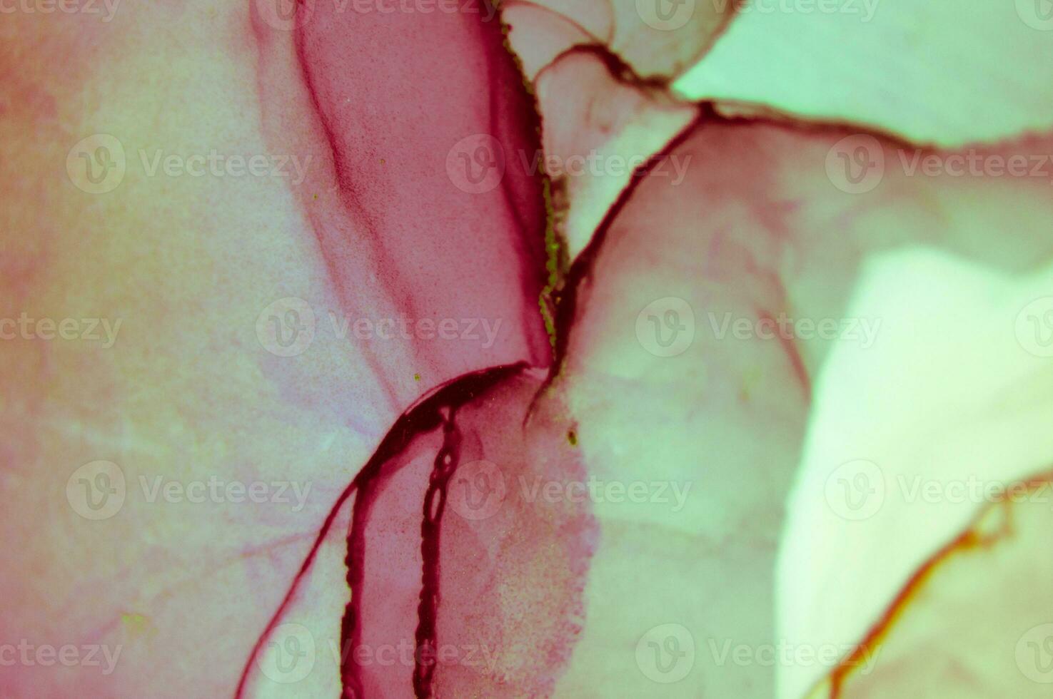 The picture is painted in alcohol ink. Abstraction will perfectly fit into a modern interior. Closeup of the painting. Colorful abstract painting background. photo
