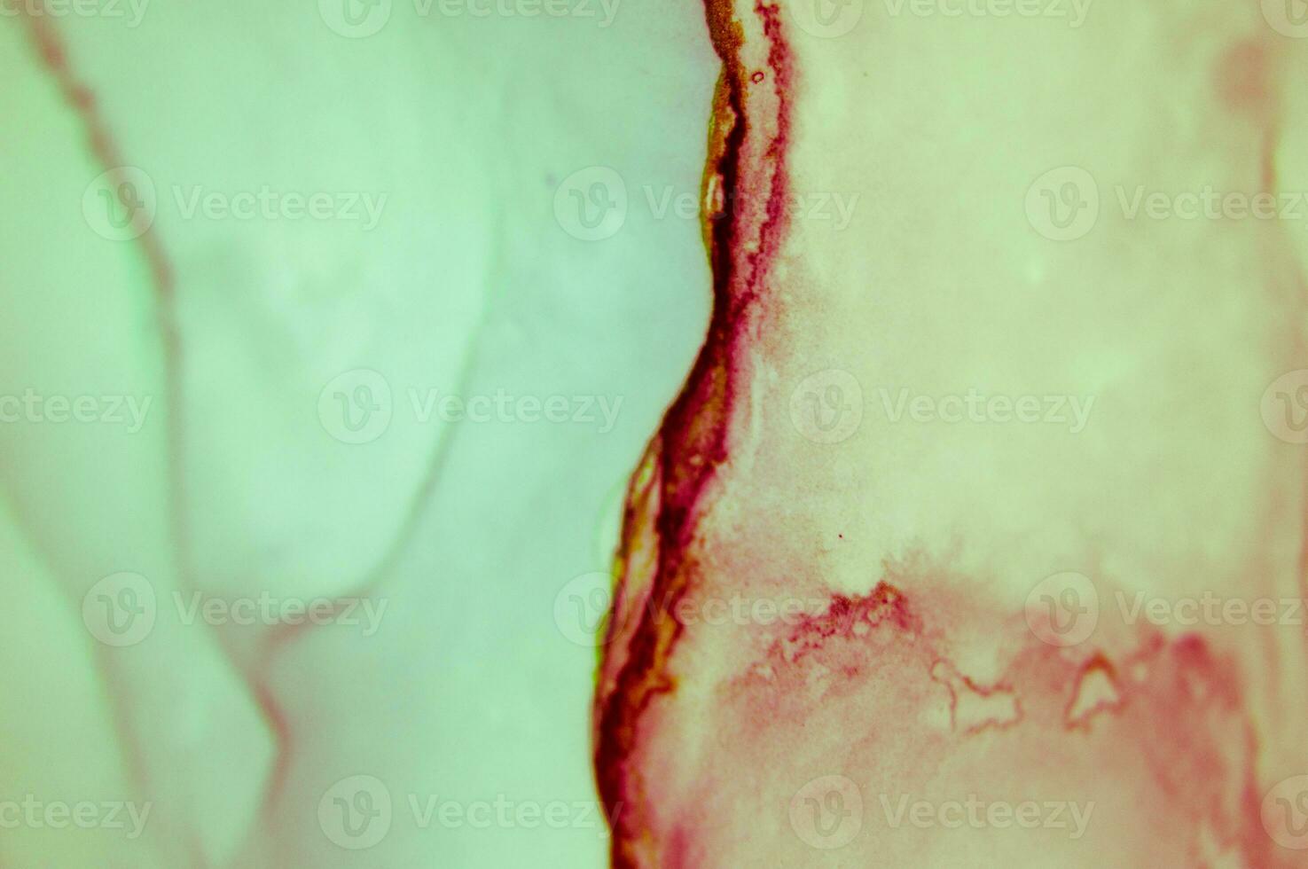 The picture is painted in alcohol ink. Abstraction will perfectly fit into a modern interior. Closeup of the painting. Colorful abstract painting background. photo