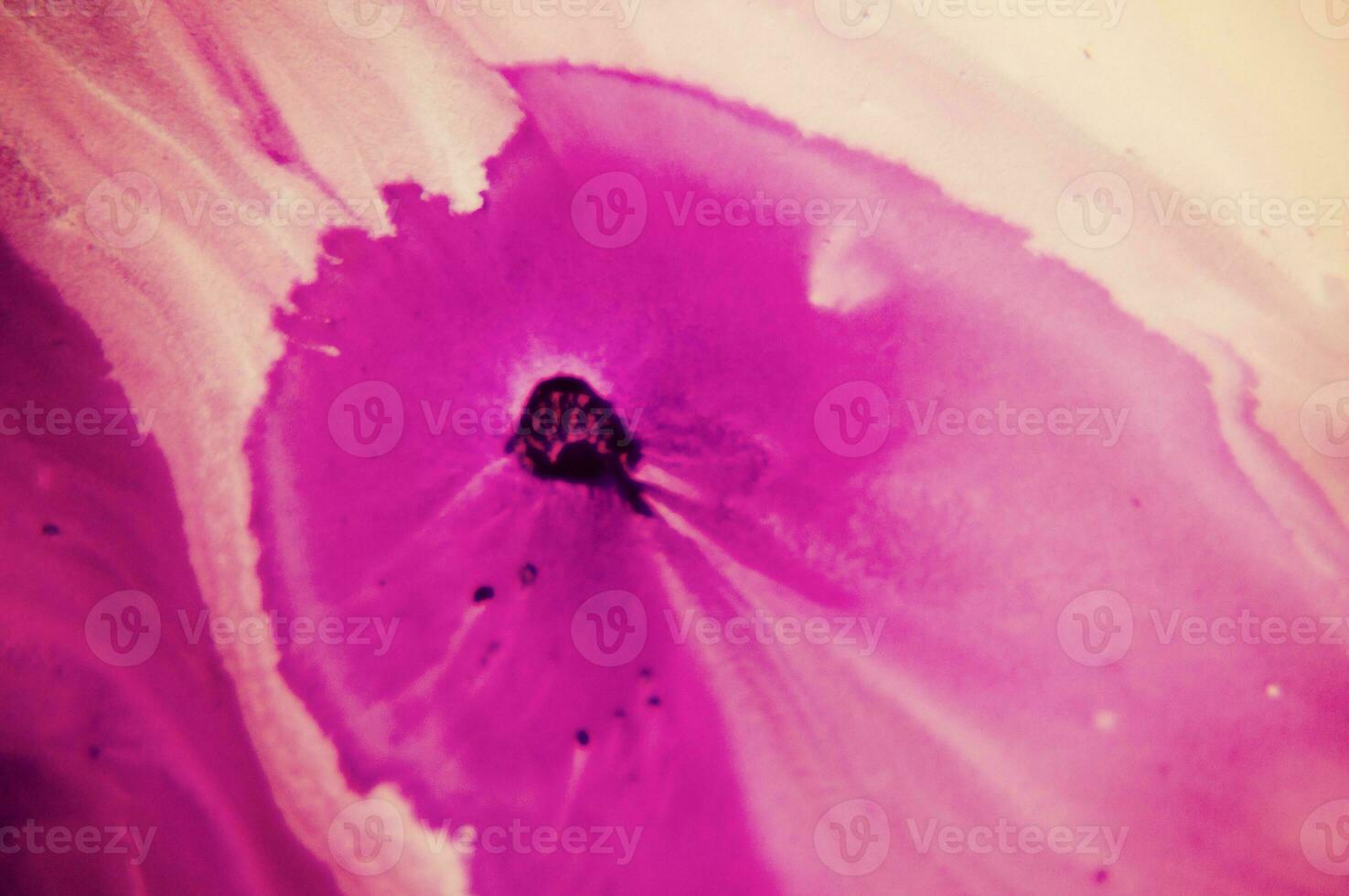 Abstract created using the technique of liquid acrylic. Macro photography of the smallest details of a panting. The panting shows how overflows of shades and colors of paint resemble space motifs. photo
