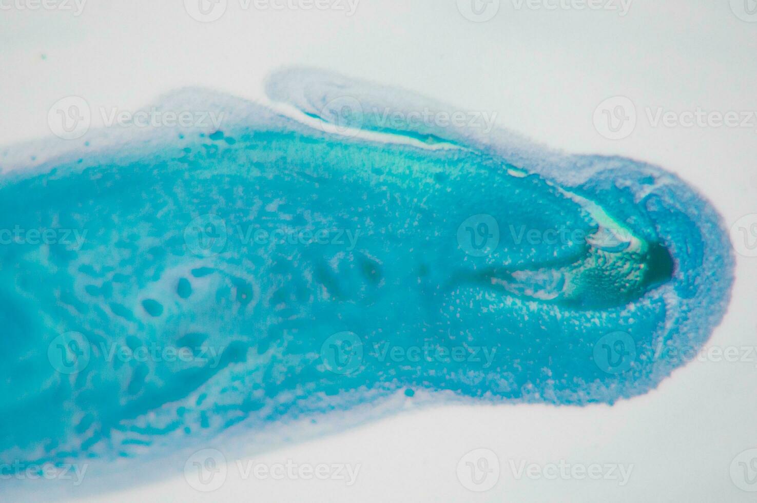 Abstract created using the technique of liquid acrylic. Macro photography of the smallest details of a panting. The panting shows how overflows of shades and colors of paint resemble space motifs. photo