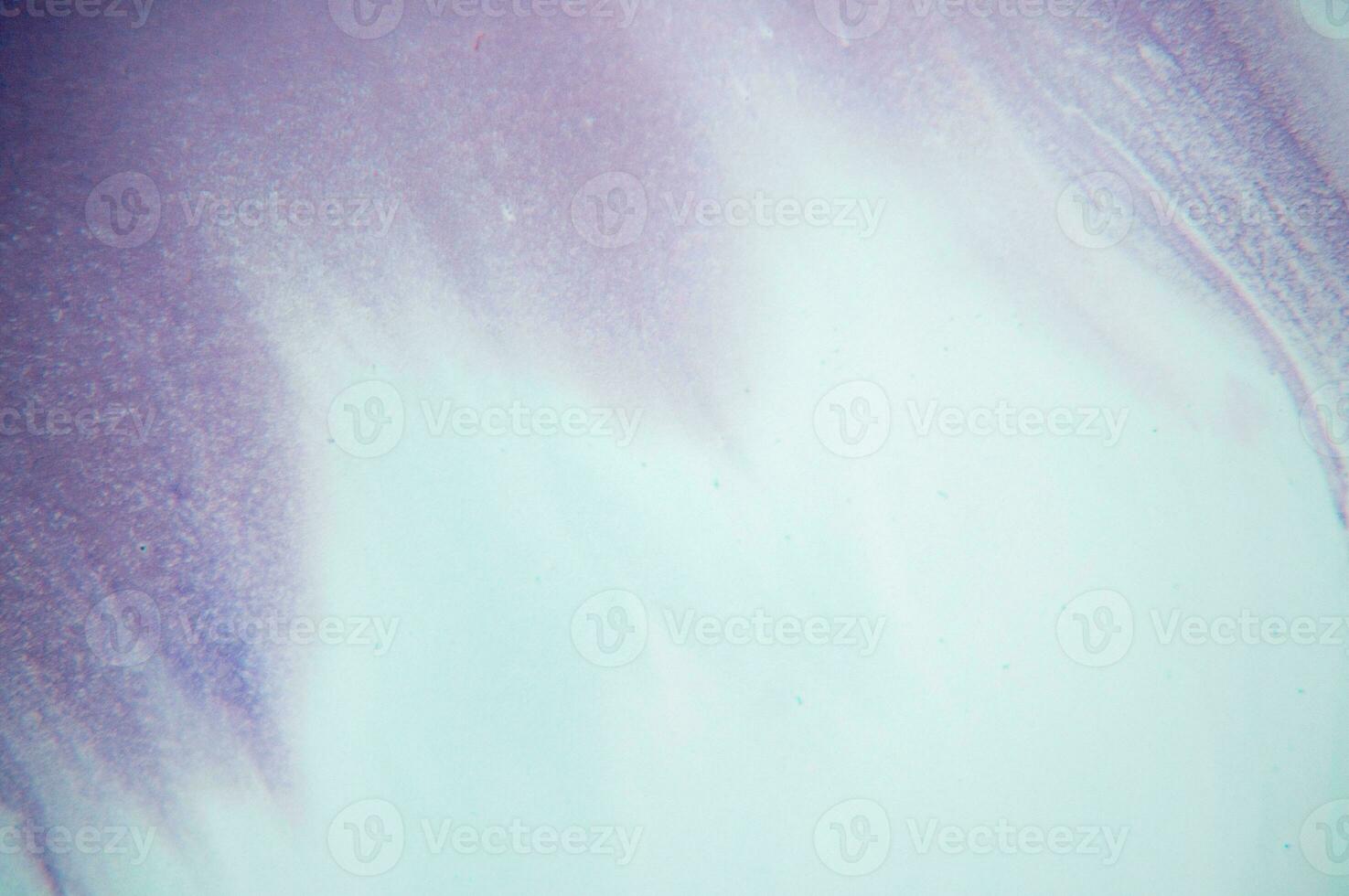 Abstract created using the technique of liquid acrylic. Macro photography of the smallest details of a panting. The panting shows how overflows of shades and colors of paint resemble space motifs. photo