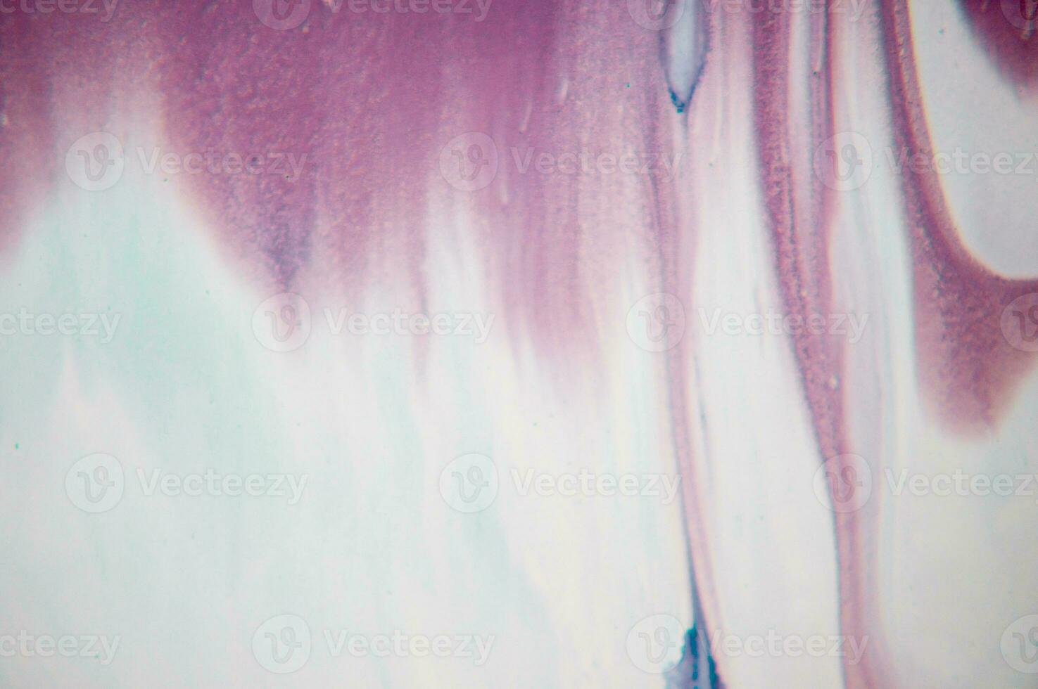 Abstract created using the technique of liquid acrylic. Macro photography of the smallest details of a panting. The panting shows how overflows of shades and colors of paint resemble space motifs. photo
