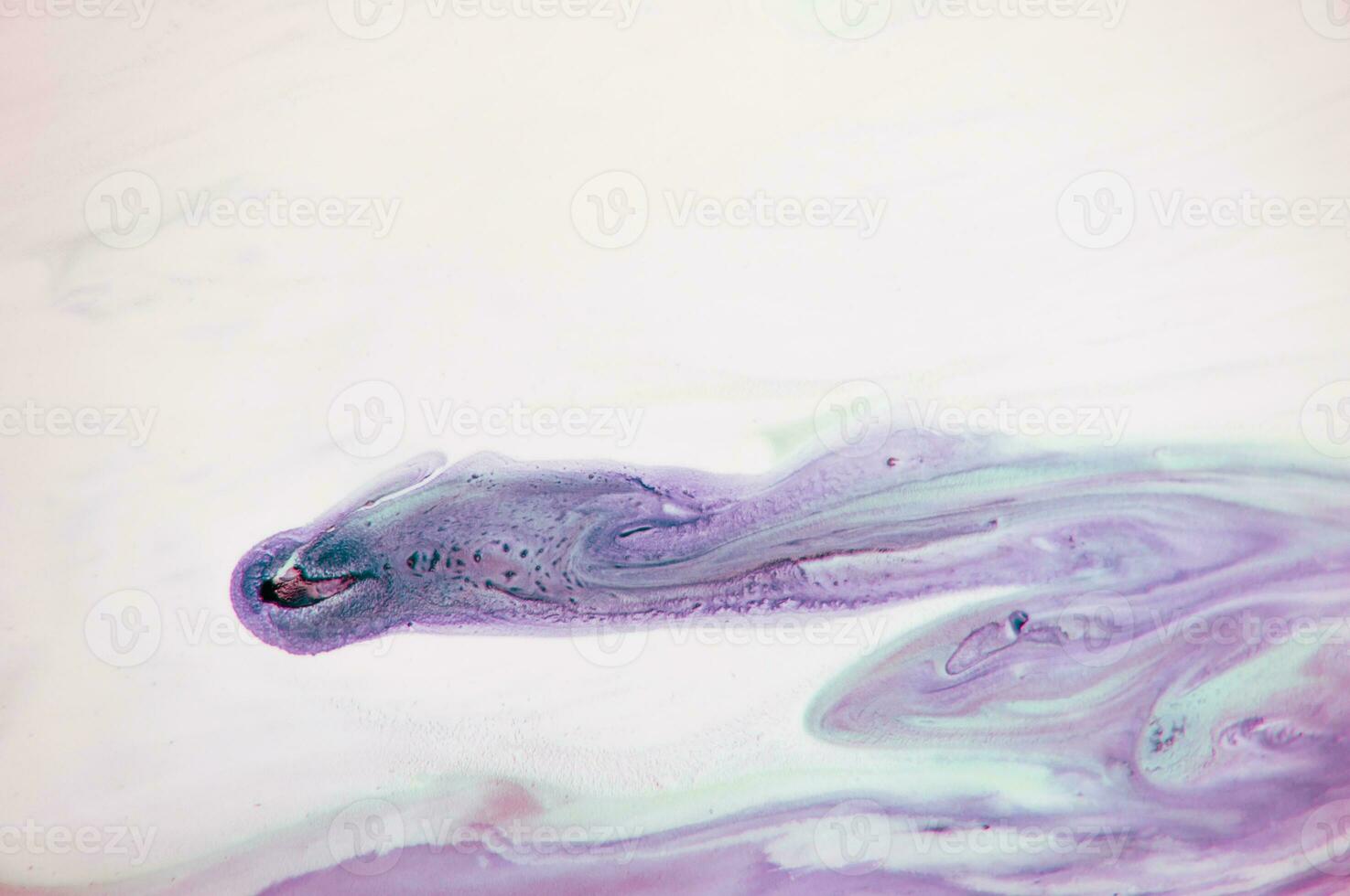 Abstract created using the technique of liquid acrylic. Macro photography of the smallest details of a panting. The panting shows how overflows of shades and colors of paint resemble space motifs. photo