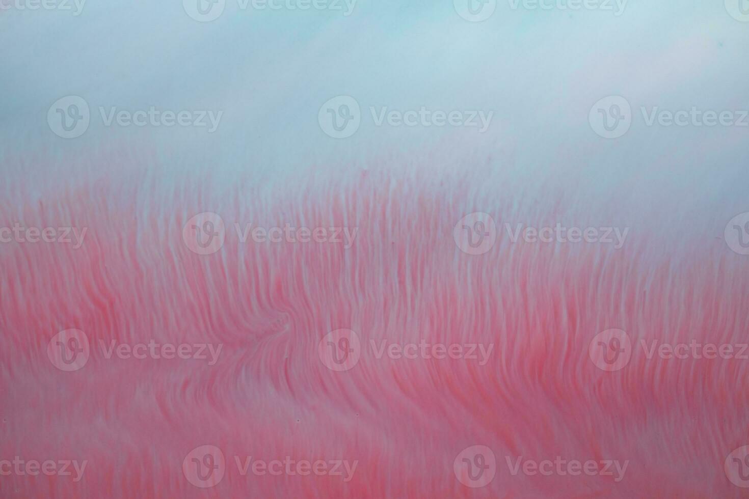 Abstract created using the technique of liquid acrylic. Macro photography of the smallest details of a panting. The panting shows how overflows of shades and colors of paint resemble space motifs. photo