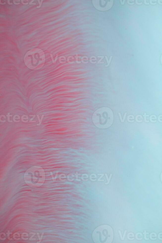 Abstract created using the technique of liquid acrylic. Macro photography of the smallest details of a panting. The panting shows how overflows of shades and colors of paint resemble space motifs. photo