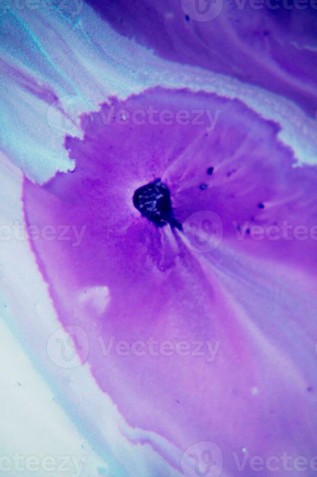 Abstract created using the technique of liquid acrylic. Macro photography of the smallest details of a panting. The panting shows how overflows of shades and colors of paint resemble space motifs. photo
