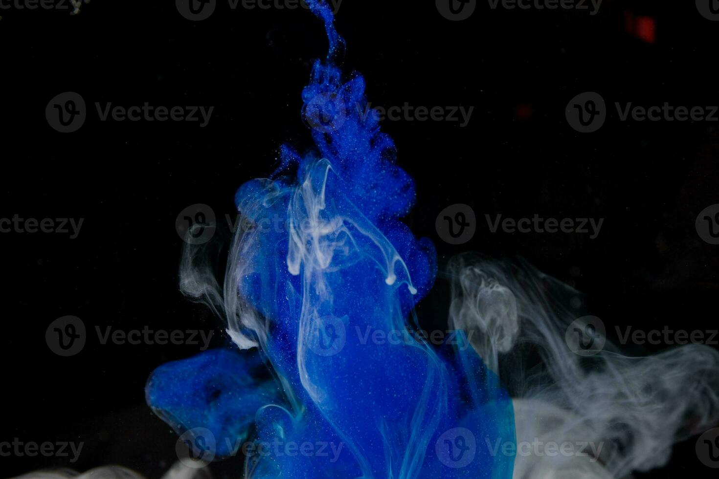 Abstract fluid acrylic painting. Marbled white abstract Ink cloud on black background. Liquid marble pattern. Modern art. photo