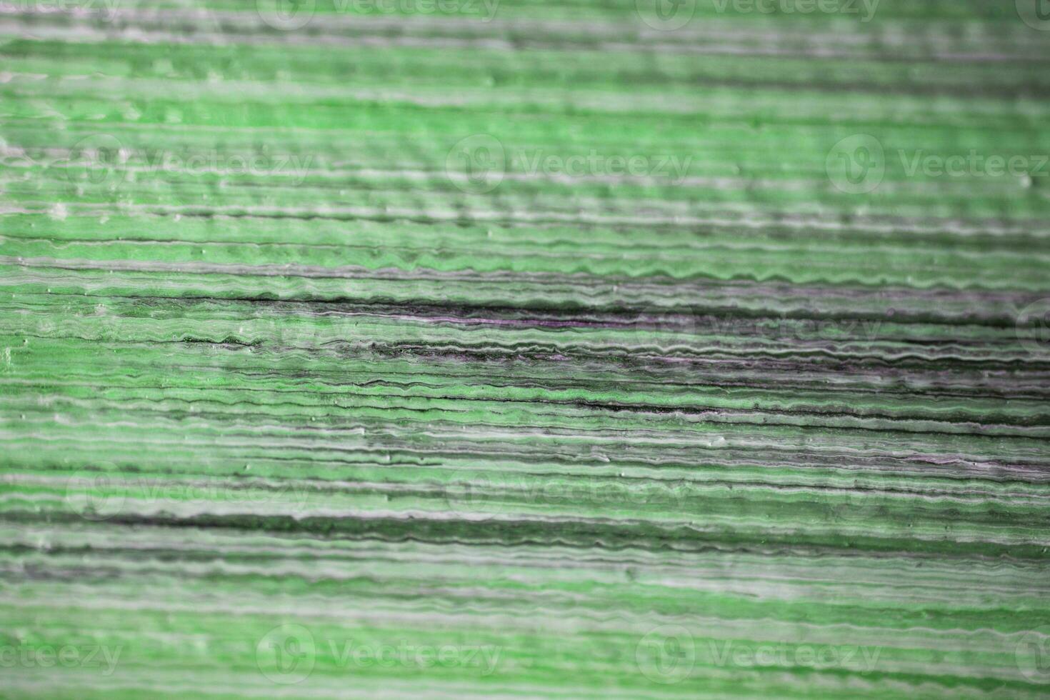 Black, gray and bronze oil painted abstract curves. Texture of brush strokes on white background. Horizontal brush layer, colorful backdrop. photo