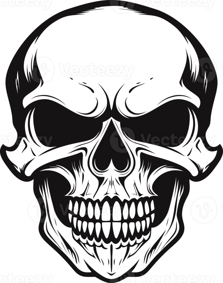 Human Skull Illustration png