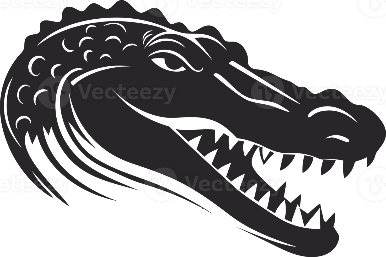 Illustration of a Crocodile Head. png