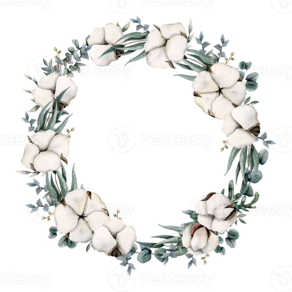 Cotton and eucalyptus branches round wreath watercolor illustration. Elegant botanical green frame with copy space for text png