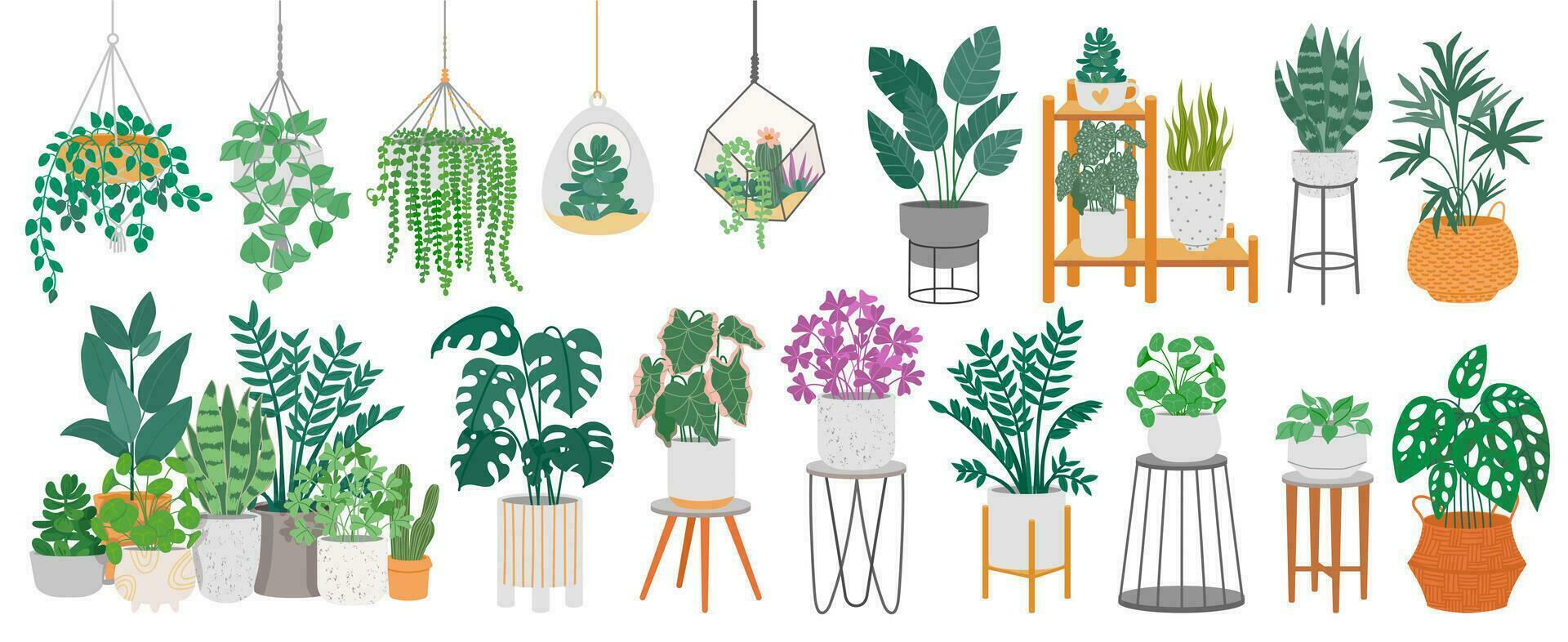 Indoor plants with decorative greenhouse elements. Green plants standing in pots on shelves, hanging in planter, macrame at cozy interior isolated on white background. Vector set