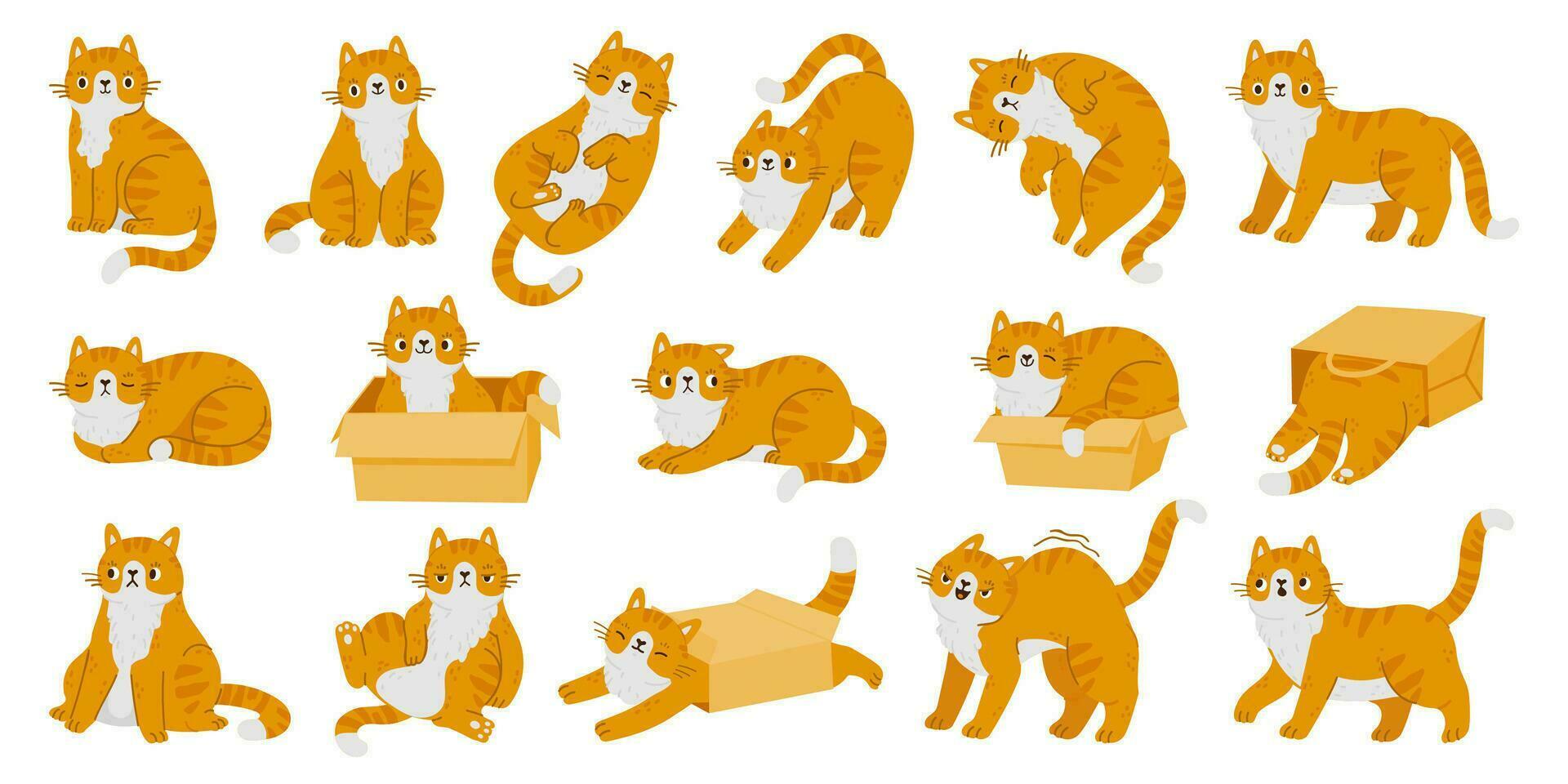 dibujos animados gatito gatos linda caracteres. rojo gatos en diferente posa, varios emociones y comportamiento aislado en blanco antecedentes. vector conjunto