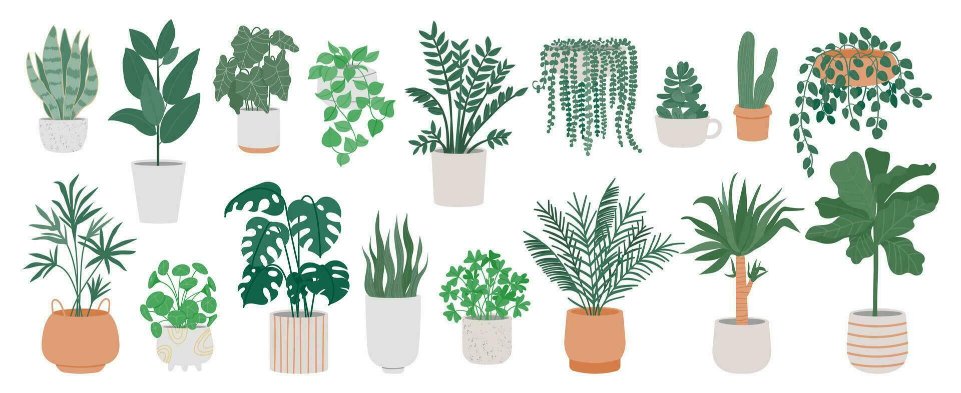 decorativo plantas de interior en ollas. interior plantas en flor maceta, jarrones, cesta para interior aislado en blanco antecedentes. hogar verder. vector conjunto