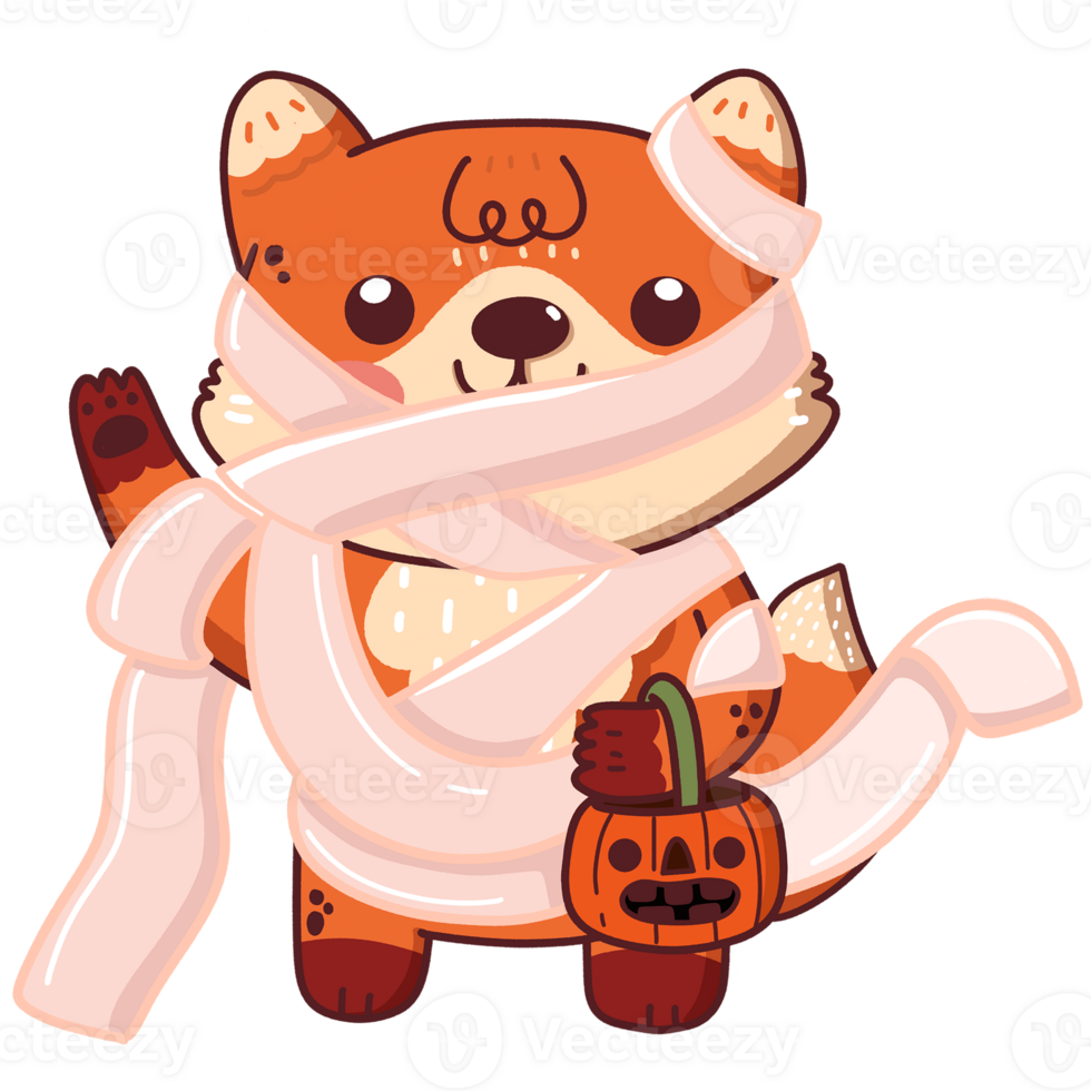 Fox in Mummy png