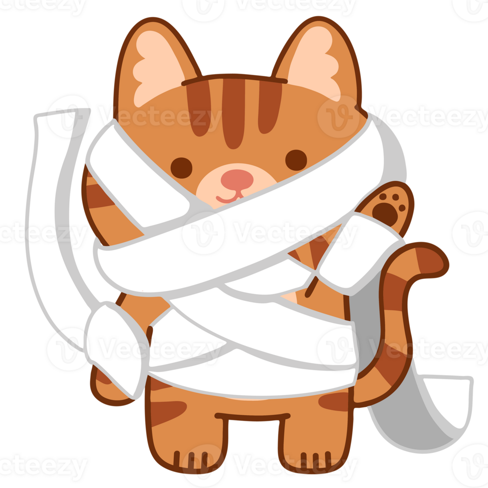 Tiger in Mummy png