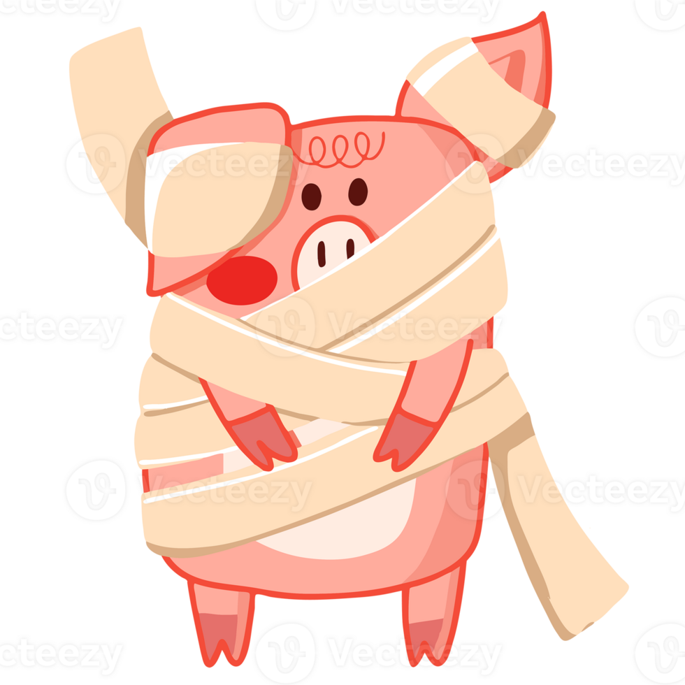 Pig in Mummy png